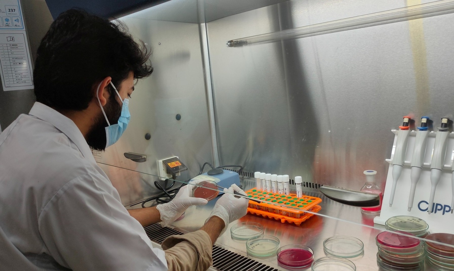A collage of research activities